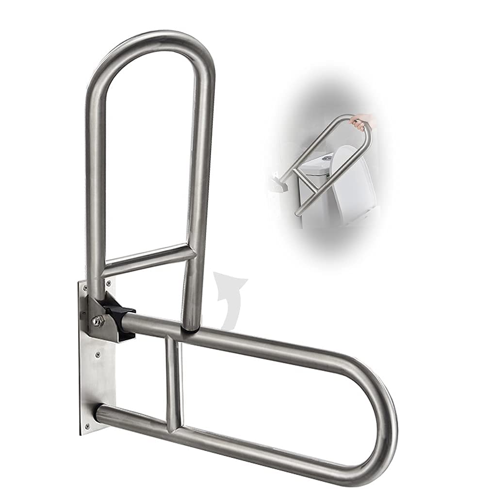 Barres d'attraction handicapées pour des toilettes sûres et autonomes