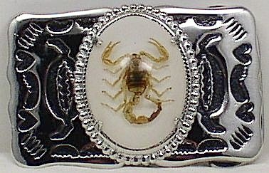 Scorpion (Real) Silver Plated Buckle ~ White Background