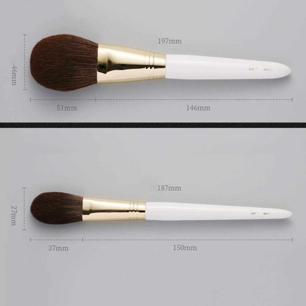 ZYFF huazhuangshua Pinceles de maquillaje, 10 piezas de regalo Juego de cepillos de belleza Cosmetic Brush Collection Sombra de ojos Base de maquillaje Mezclador de contorno corrector Blush, para dama