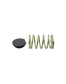 Amazon.com: LKQI Replacement V494000840 & V450001880 Spring