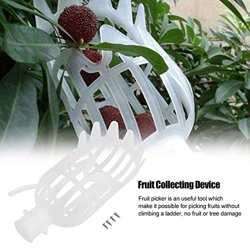 Tuniya Plastic Fruit Picker Tool Fruits Catcher Basket Head Tree Picking with Basket Fruit Picking Equipment for Picking Oranges,Apples or any Kinds of Fruits,26CM