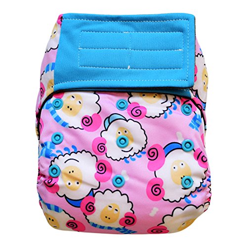 Buy AIO Cloth Diapers Starter Kit 6 Hook and Loop Hybrid Diapers and