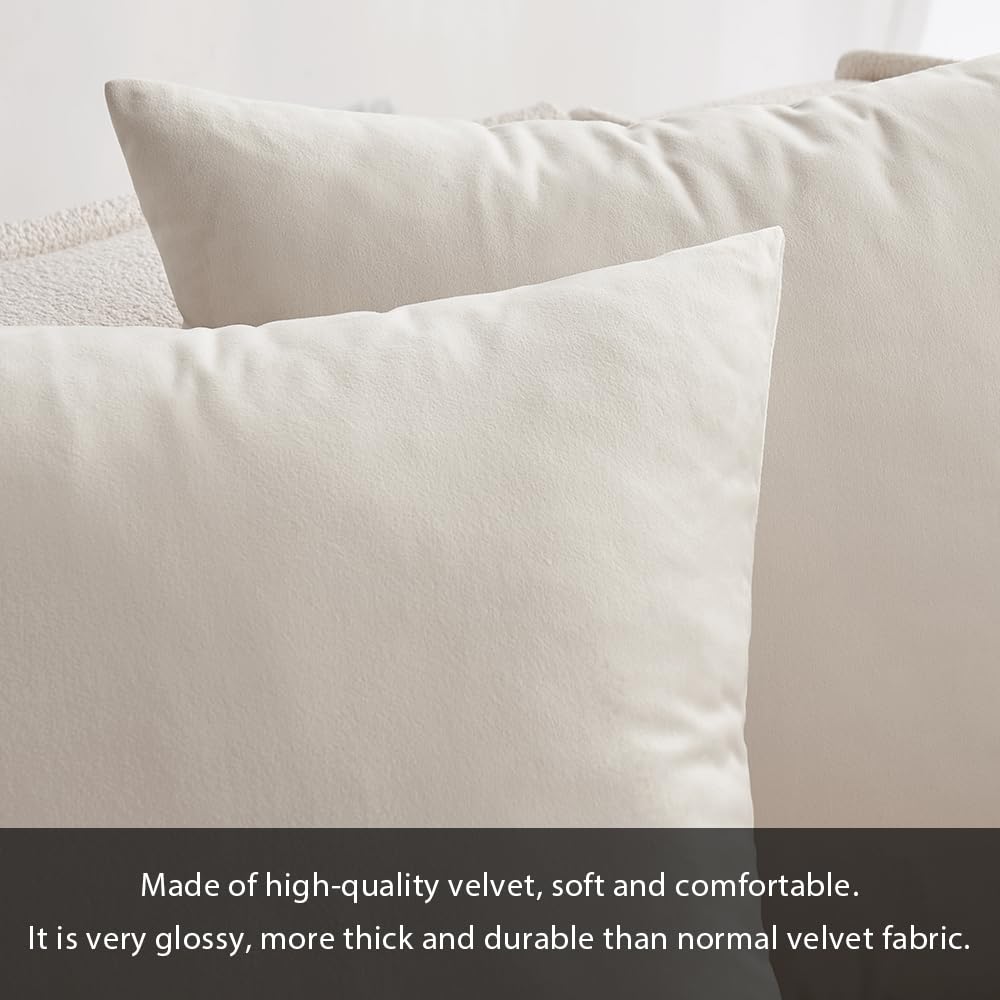 MIULEE Copricuscini per Camera da Letto Federe Cuscini per Divano in Velluto per Letto Matrimoniale Moderne Federa Decorativa Elegante per Soggiorno Casa 2 Pezzi 40X60 CM Bianco Crema
