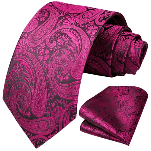 Image of HISDERN Ties for Men Paisley Floral Tie Handkerchief Classic Woven Business Formal Necktie and Pocket Square Set Wedding