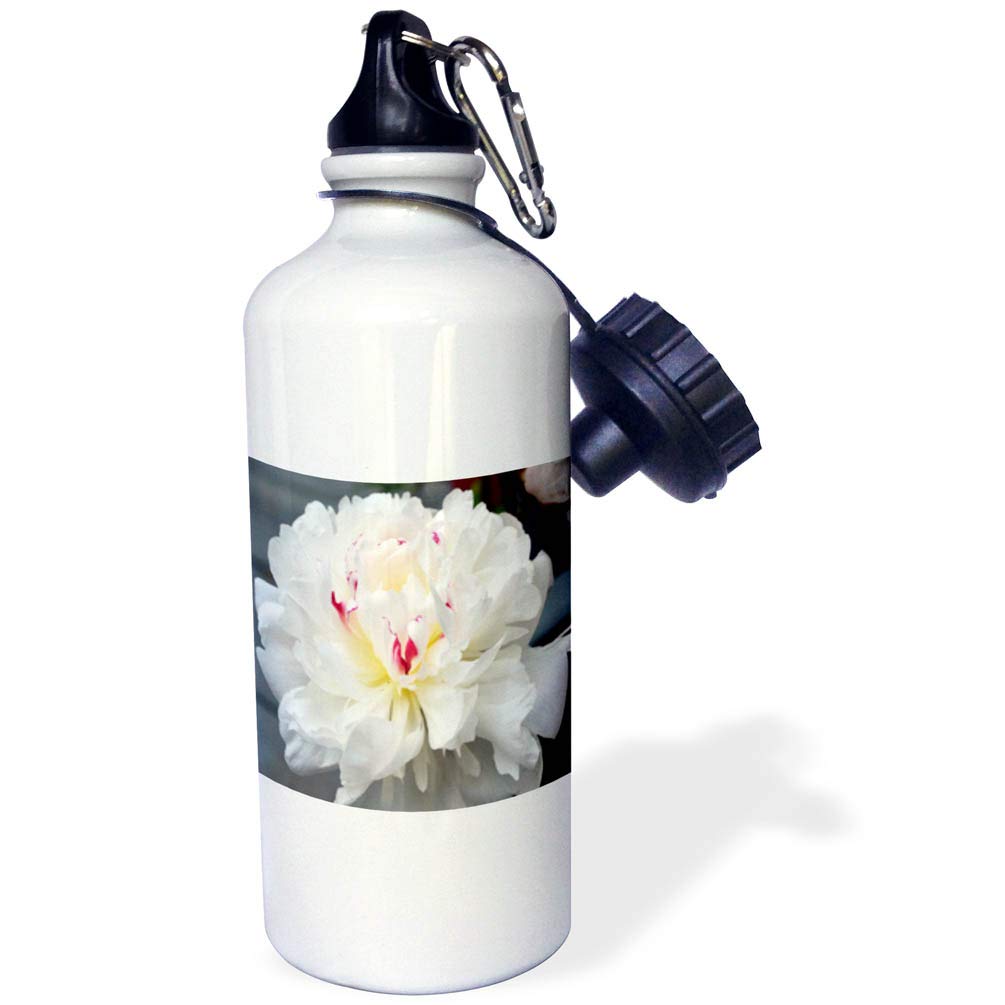 3dRose "A Perfect Peony White Peony Flower" Sports Water Bottle, 21 oz, White