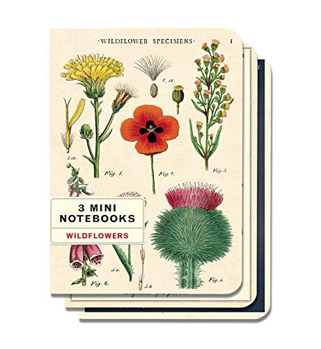 Cavallini & Co. Wildflowers Mini Notebooks