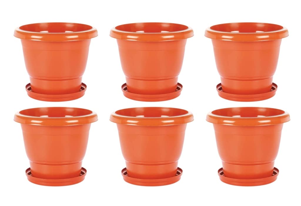 See full amazon price history chart for God of Goods Heavy Duty Plastic Future Green Pot for Flowers Plants for Home/Gardens Indoor/Outdoor Planter with Bottom Plate/Tray (10 Inches, Pack of 6) God of Goods Heavy Duty Plastic Future Green Pot for Flowers Plants for Home/Gardens Indoor/Outdoor Planter with Bottom Plate/Tray (10 Inches, Pack of 6) (B09M8DLRSS) Amazon Price History, Amazon Price Tracker