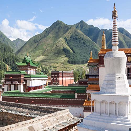 Tibetan Coil Incense - Natural Plants Spiral Incense - Tibetan Incense - 94 Coils 4 Hours Burning Time For Relaxation,Meditation, Attracts Money… #TOP5