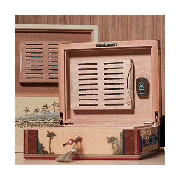Boveda Smart Hygrometer for Humidors, Herbal & Music Measures RH and