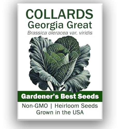 Collard Greens Seeds (2 Packs): Organic, Non-GMO, USA-Grown – Farmers'