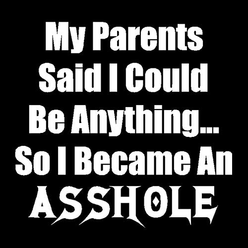 Dan's Decals My Parents Said I Could Be Anything So I Became an Ahole Decal, They Said I Could Be Anything Sticker (H 6 by L 6 inches, White)