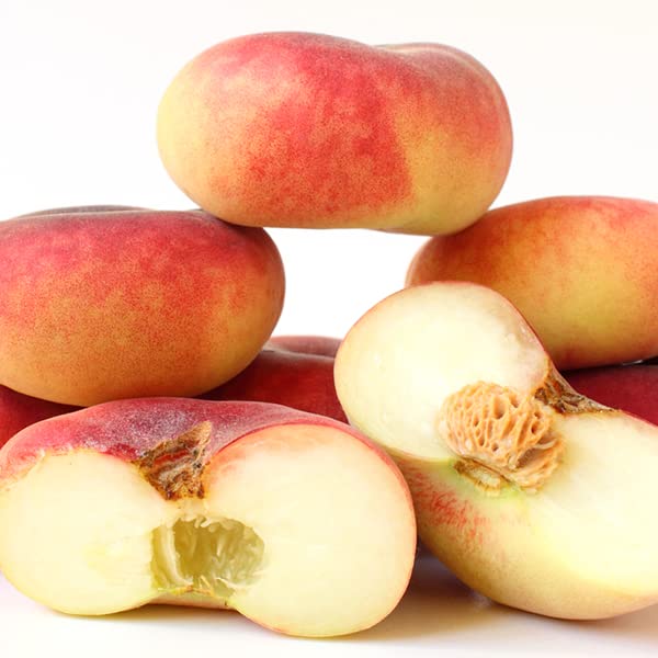 Amazon.co.jp: 山形県産 ご家庭用 蟠桃 1.5kg (秀品/8玉〜15玉入り