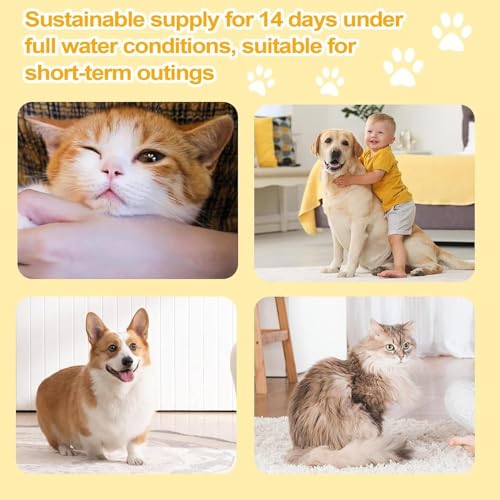 Fuente automática de agua para gatos con filtro 2.2L miniatura 4