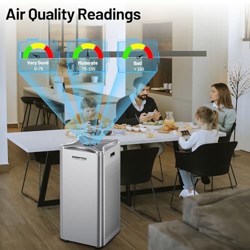 BSMTEK Whole Home Air Purifier