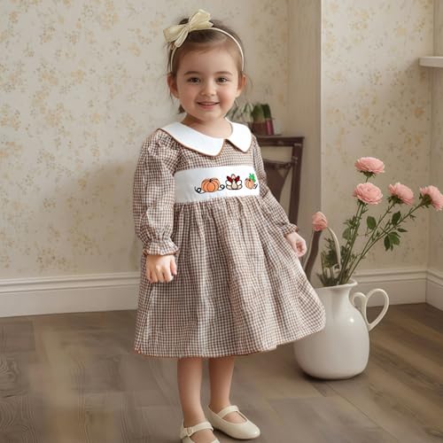 Toddler Baby Girl Thanksgiving Outfit Pumpkin Turkey Dress Ruffle Smocked Collared Bubble Gingham Dresses2