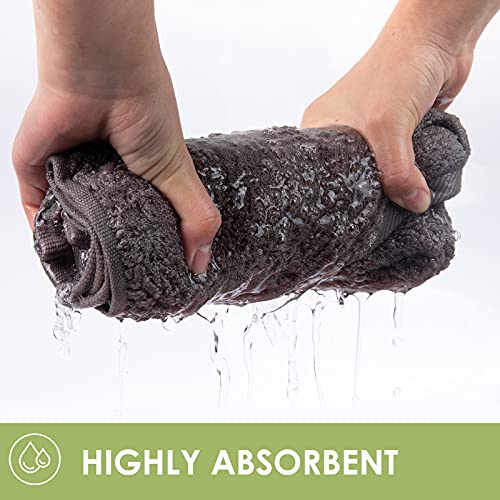 Canfoison Bamboo Hand Towel For Face And Body, 2 Pack Light Gray Bathroom Hand Towel Set For Adult Kids Baby Luxury Super Soft Highly Absorbent Bathroom Towels 18" X 30" #TOP3