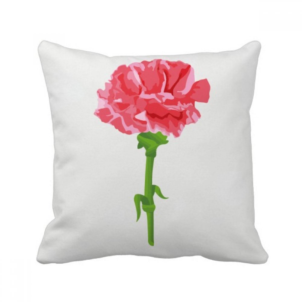 Oreiller de plante d'oeillet multicolore pour sublimer votre canapé et créer un salon cocooning