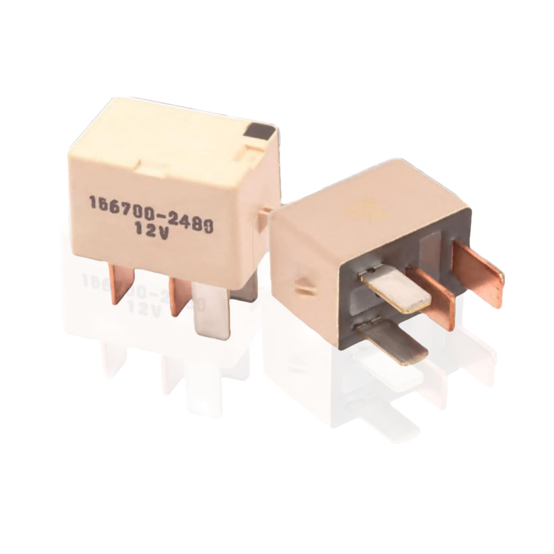 イモータルトラウト② Amazon.co.jp: 156700-2480 DC12V 4ピン 多目的リレー - 1個。: 車＆バイク
