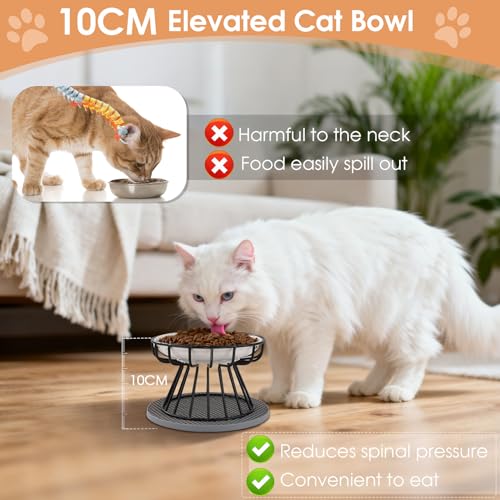 Otauoaea 2 Stück Katzennapf Erhöht, Erhöhter Futternapf Katze, Fressnapf Katze Flach, Cat Bowl mit Metallständer & rutschfeste Silikonmatte, Linderung von Schnurrhaarermüdung (A-Schwarz)