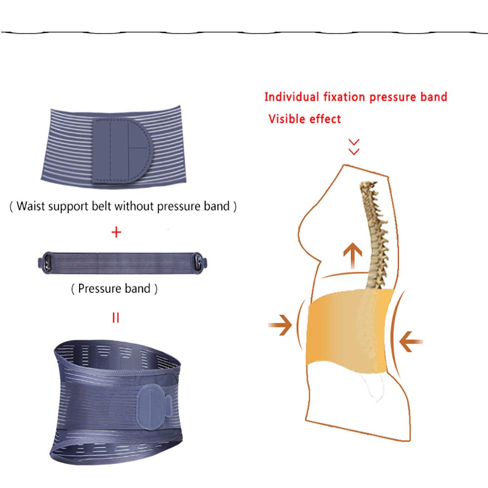 Faja Lumbar Fitness - Soporte de Refuerzo de Espalda Baja - para Hernia de Disco, ciática, escoliosis, estenosis espinal - con Correas de compresión Doble Ajustables,L
