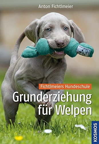 Grunderziehung für Welpen: Fichtlmeiers Hundeschule Grunderziehung für Welpen: Fichtlmeiers Hundeschule