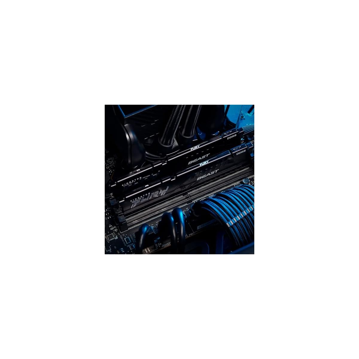 Kingston-FURY-Beast-Nero-EXPO-DDR5-64GB-2x32GB-5200MTs-DDR5-CL36-DIMM-Memoria-Gaming-per-Computer-Fissi-Kit-da-2-KF552C36BBEK2-64