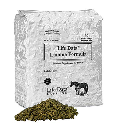 Life Data Labs Lamina Formula 11lb