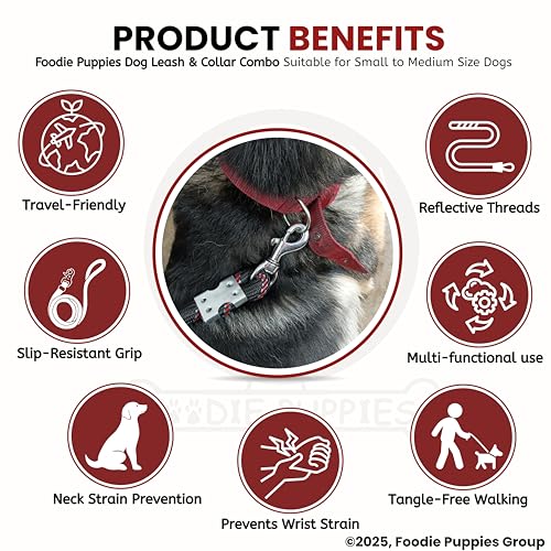 Image of Foodie Puppies Dog Leash and Collar Combo Set - (Nylon Leash + Denim Collar) | Handle Adjustable Heavy Duty for Training & Walking | for Small to Medium Dogs (Colour May Vary)