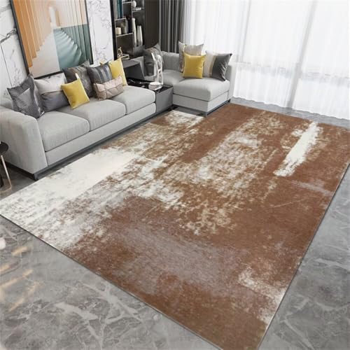Tapis de salon pas chere résistant et lavable pour décoration moderne