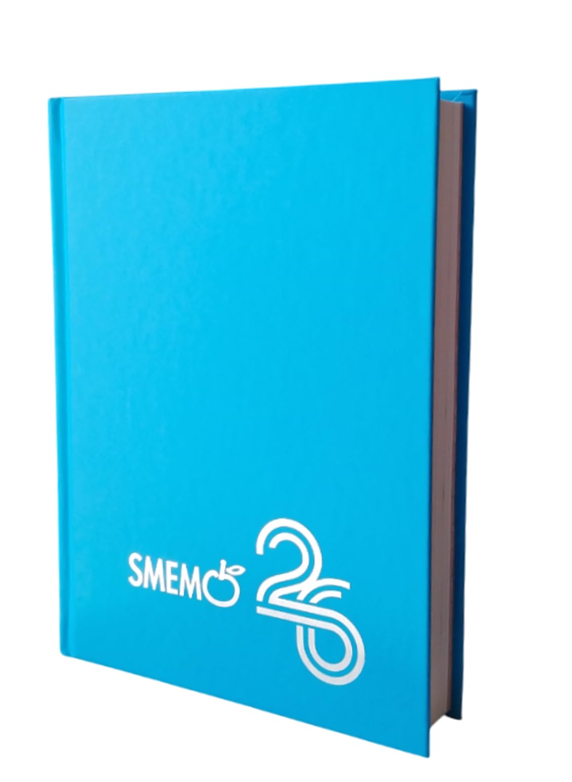 Smemoranda Classic Sky Blue Diary 2025-2026 11x15cm(Size M) con Anello, Suonador e Penna Multicolori