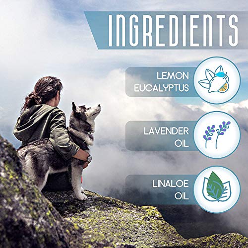 Flea and Tick Prevention for Dogs - Flea Collar - Image 6