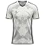 White/Gray