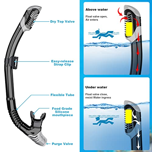 WONDSY Mask Fin Snorkel Set, Snorkeling Gear for Adults with Panoramic View Mask, Dry Top Snorkel, Adjustable Swim Fins and Travel Bag, Man Woman Snorkel Gear for Swimming Snorkeling Diving