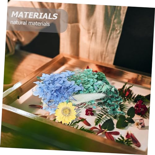Flores Secas Prensadas para Manualidades IWOWHERO miniatura 6