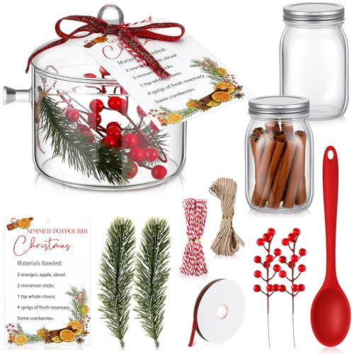 Baderke Christmas Simmer Pot Gift Include 50 oz Glass Cooking Saucepan 2 Pcs 17 oz Mason Jars for Potpourri Xmas Card Red Berries for Christmas Holiday House Warming Thank You Gift Simmering Supplies