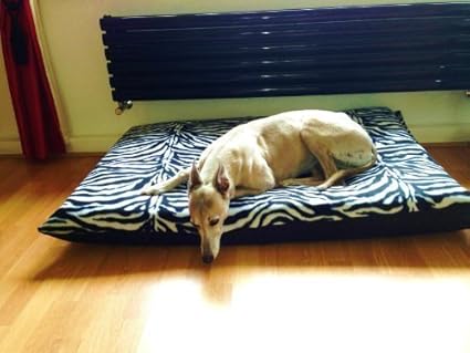 kosipet dog bed