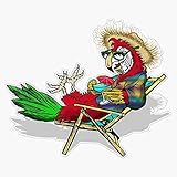 Parrot Beach ChairVinyl Sticker Waterproof Bumper Sticker Laptop Window Decal 5'