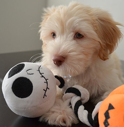 Disney Nightmare Before Christmas Pumpkin King Rope Tug Chew Dog Toy, Two Built-In Squeakers, Multi-Sensory Toy #TOP3