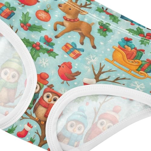 Joisal Winter Cartoon Owls Blue Girls Underwear Toddlers 2t Cotton Panties Little Girl Fancy Briefs Girls Undies4