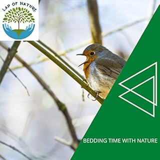 Traditional Ocean Water