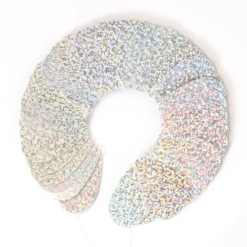 Image of Iridescent Disco-Holographic Party-Decorations Heart Streamers-Garland - 52ft Glitter Dance Hanging Paper Banner, Wedding Bachelorette Birthday Euphoria Galentines Decor Hugfond