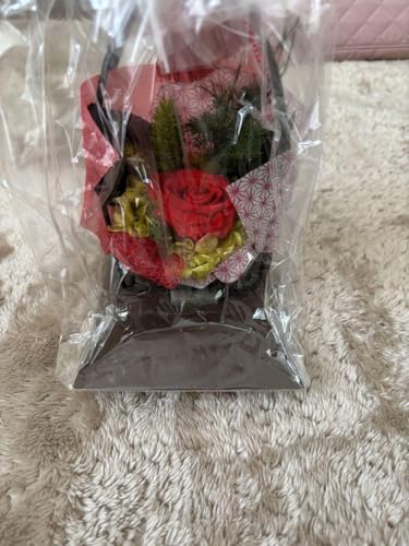 vU[uht[ a Ԃ  AWg v[g 