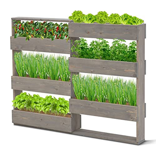 Coemo Vertikalbeet Riga Kräuterbeet Holz 6 Pflanzkästen stehend oder zur Wandmontage für Kräuter, Blumen, Gemüse Farbe: Grau