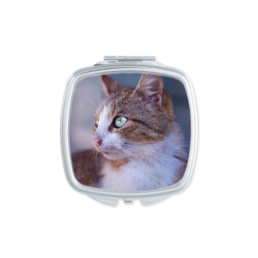 Miroir de poche chat marron portable et petit pour maquillage