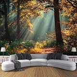 3D Fotomurale Murales Boschi Carta da Parati Panoramica 200x140 cm Paesaggio Naturale Fotomurali Tessuto Non Tessuto Decorazione Parete Poster Camere da Letto Soggiorno Pareti Murale w.2253