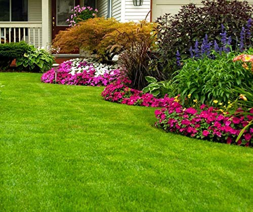 saibalaji enterprises Lawn Fertilizer for Excellent Growth of Lawn Grass - 2500 g (B07L9SJ61B) Amazon Price History, Amazon Price Tracker