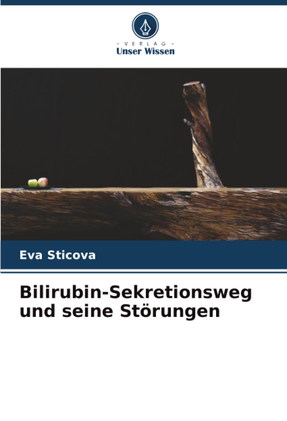 Bilirubin-Sekretionsweg und seine Störungen