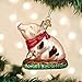 Old World Christmas Piggy in The Puddle - Pink Glass Blown Ornament for Christmas Tree, Handcrafted Holiday Decoration, Farm Animal Collection