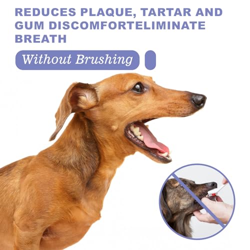JoanofArc Dog Dental Care Spray, Oral Care Spray for Dogs, Breath Freshener & Teeth Cleaning Spray, Reduce Tartar Freshen Breath, Pet Health Supplies Teeth Spray, No Brushing, 30ml - Thumbnail 5
