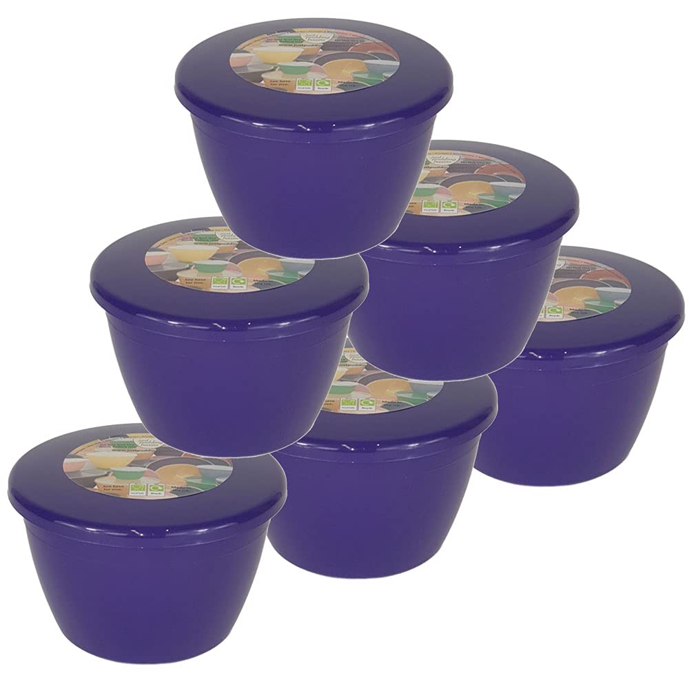 Just Pudding BasinsPack of 6 Plastic Pudding Basins and Lid 1/2 Pint Purple Food Safe Steaming Bowls